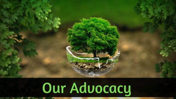 Our Advocacy